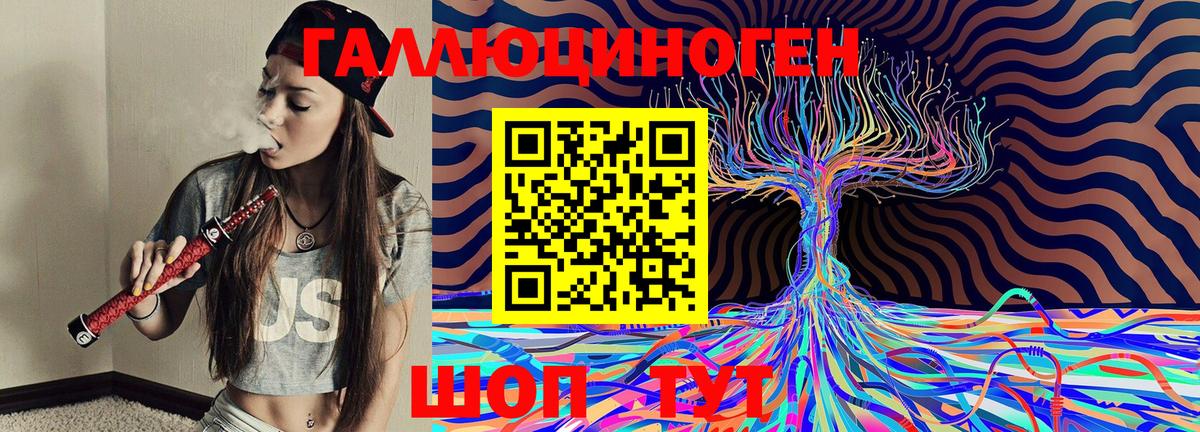 Сланцы  Галлюциногенные грибы Magic Shrooms  Вход с VPN 
