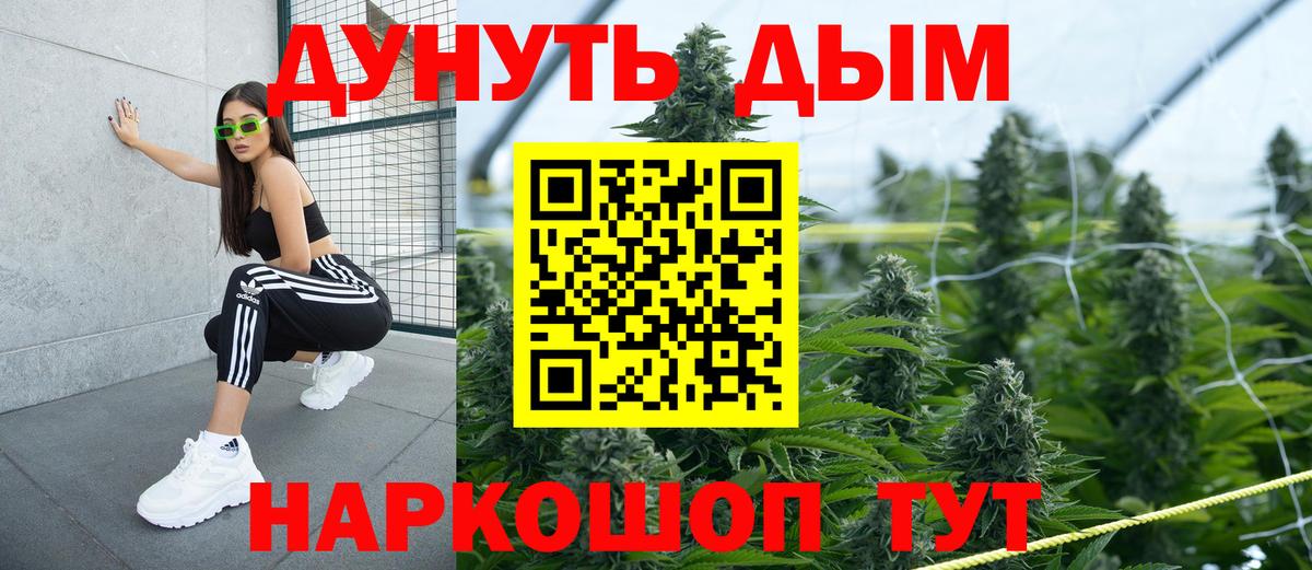 Шишки марихуана Ganja  Канабис конопля  Сланцы  Вход с VPN  Канабис SATIVA & INDICA 